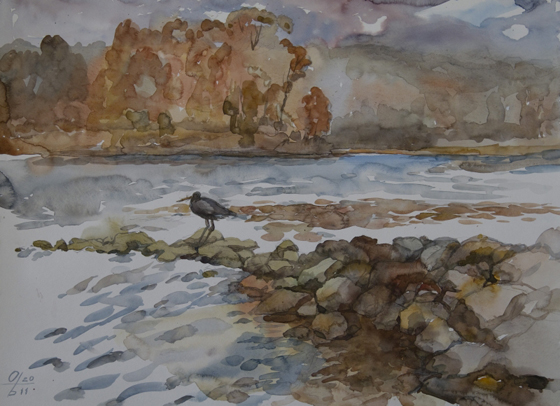 StoreGal/store/Watercolor/Great blue heron Centennial lake.JPG